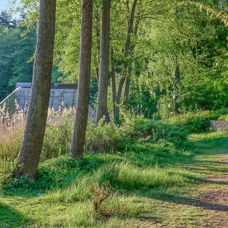 Rheinsberg Ot Tatil Evi *